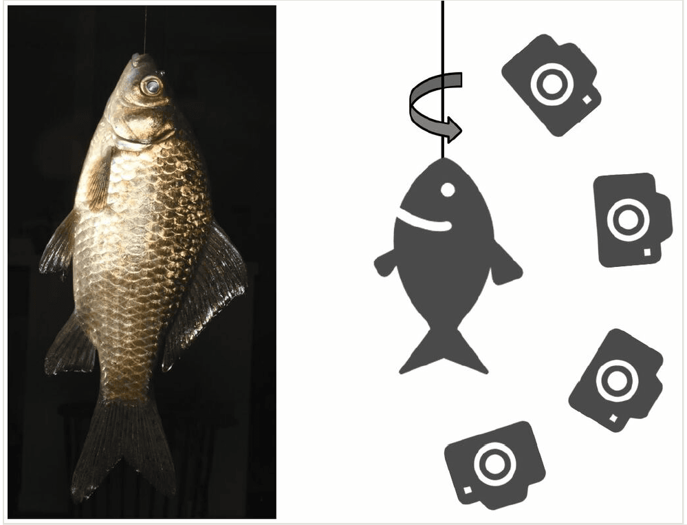 Pitti article bio photogrammetry digitally archiving coloured 3d