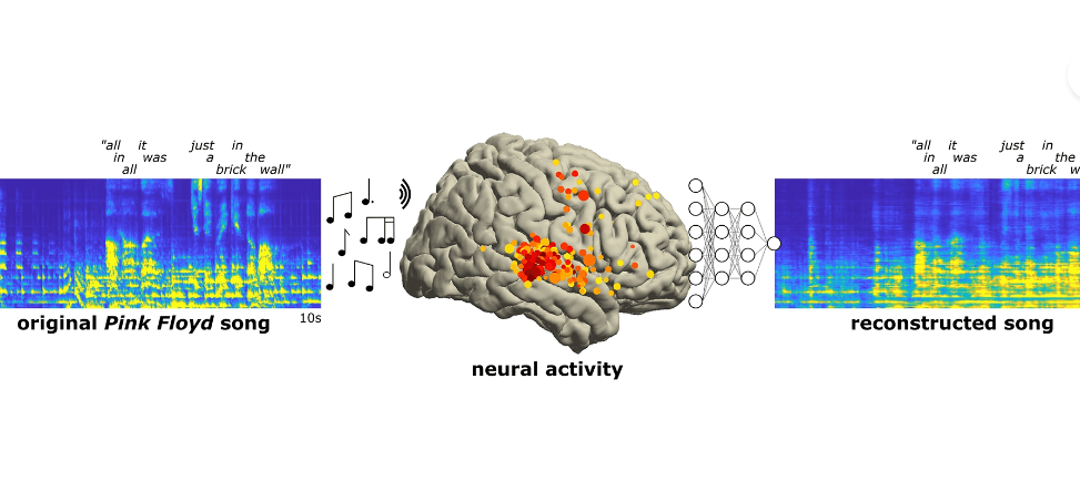 PITTI - Article - Brain recordings capture musicality of speech — with ...